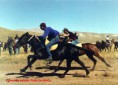 /album/fotogaleria/caballos-de-carreras-3-jpg/